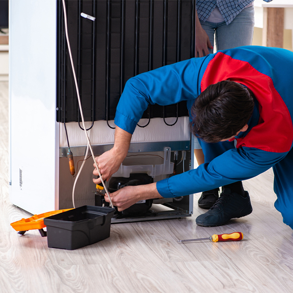 what are the common refrigerator repair services in Orchard